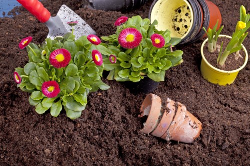 Gardening tools and outdoor service setup