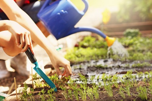 Gardeners Friern Barnet team working safely in a residential garden