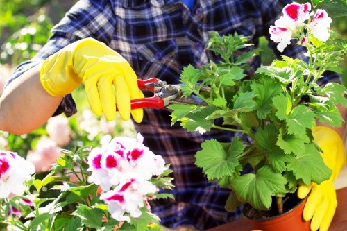 Gardeners Friern Barnet cookie policy introduction