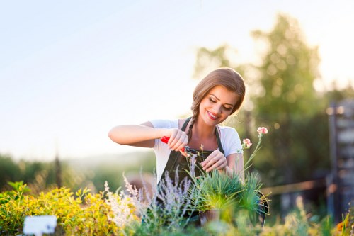 Healthy green lawn care in Friern Barnet with neat edging