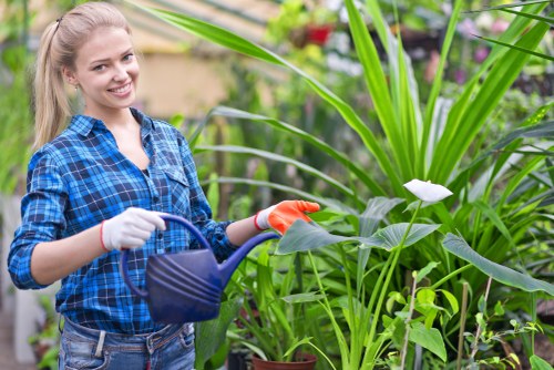 Professional gardening services in Friern Barnet maintaining a neat residential garden