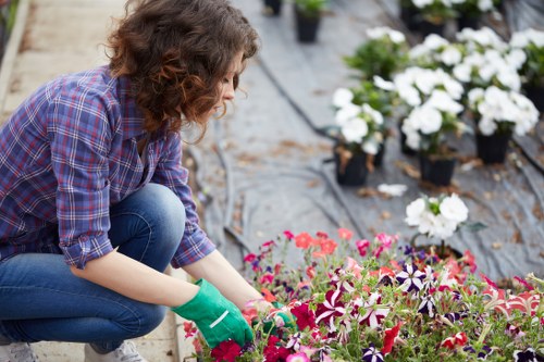Illustration representing accessible Gardeners Friern Barnet content