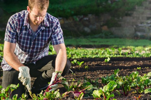 A formal complaints process for garden maintenance