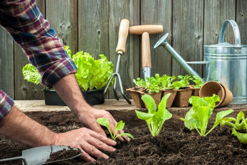 Professional mowing and turf care in Friern Barnet