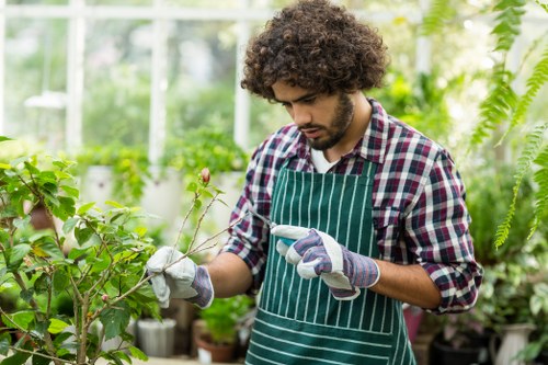 Friern Barnet gardener trimming hedges and managing a tidy outdoor space