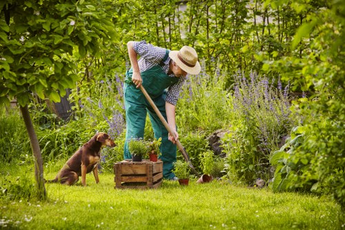 Tree surgeon carrying out crown management in Friern Barnet