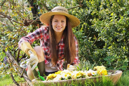Professional garden care for a Friern Barnet home