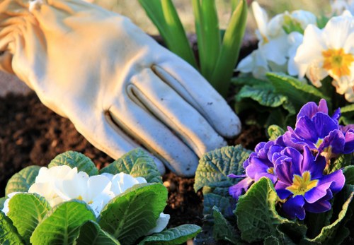Seasonal hedge maintenance in Friern Barnet