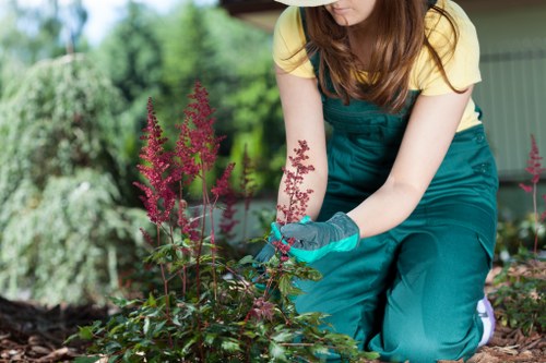 Seasonal spring garden maintenance in Friern Barnet with fresh planting