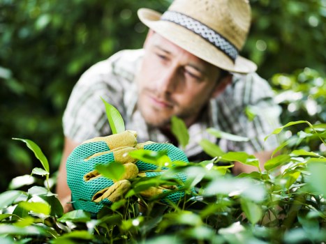 Customer complaint resolution in a gardening service