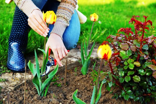 Low-carbon van used for sustainable gardening collections