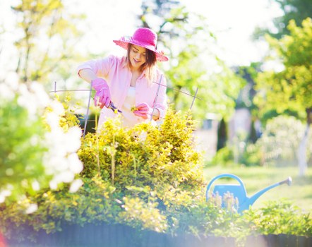 Image symbolising screen-reader friendly gardening information