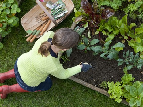 Staff training and PPE used by Friern Barnet gardeners