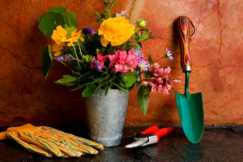 Friern Barnet garden planting and lawn improvement
