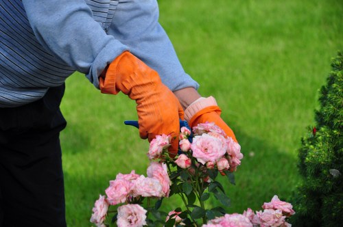 Friern Barnet gardeners shaping a balanced and attractive outdoor space