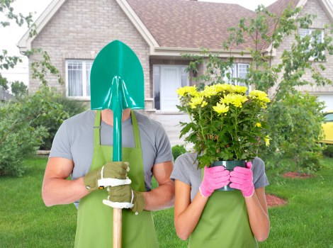 Graphic showing accessibility support for local gardening pages