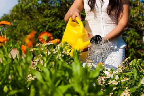 Cubic-yard estimate for garden clearance in Friern Barnet