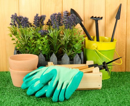 Regular garden maintenance in Friern Barnet with lawn care and planting work