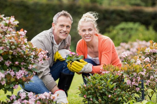 Waste removal and garden clearance compliance