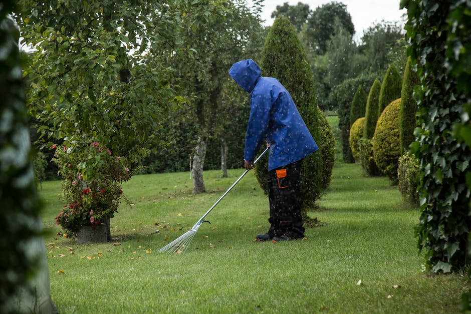 Friern Barnet gardeners same day garden clearance N11 quotes