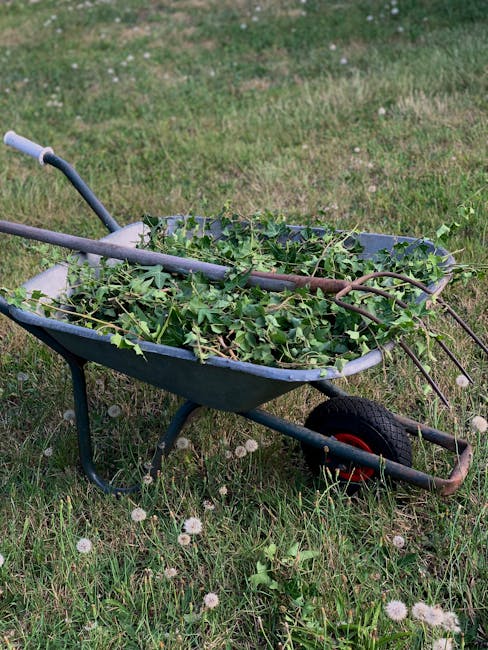 A gardener wearing a blue waterproof jacket with the hood up is raking fallen leaves on a lush green lawn in a well-maintained garden. The garden features neatly trimmed hedges, conical and rounded bu