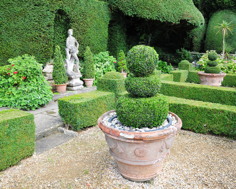 garden design garden